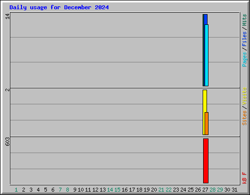 Daily usage for December 2024