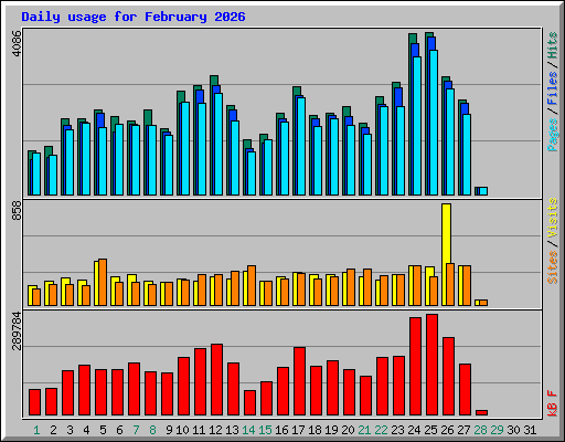 Daily usage for February 2026