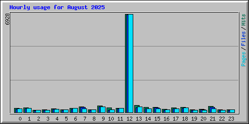Hourly usage for August 2025