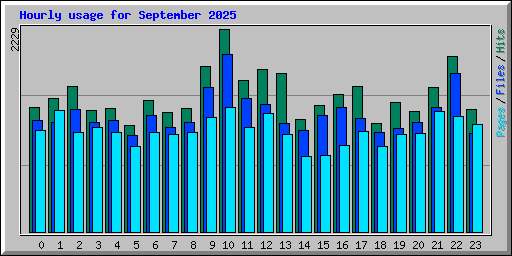Hourly usage for September 2025