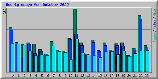 Hourly usage for October 2025