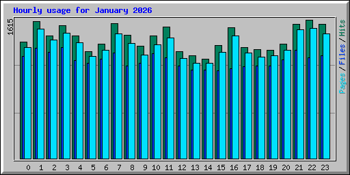 Hourly usage for January 2026