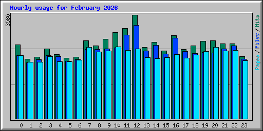 Hourly usage for February 2026