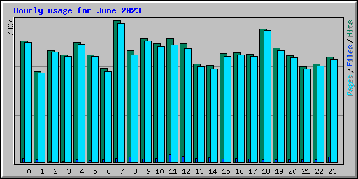 Hourly usage for June 2023
