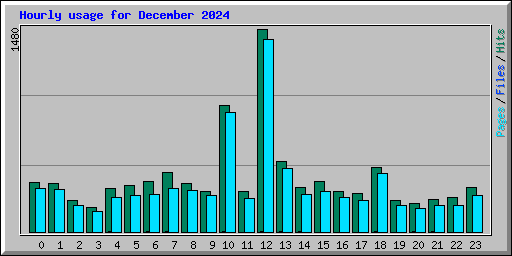 Hourly usage for December 2024