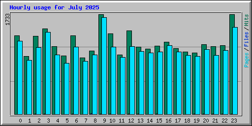 Hourly usage for July 2025