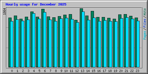 Hourly usage for December 2025