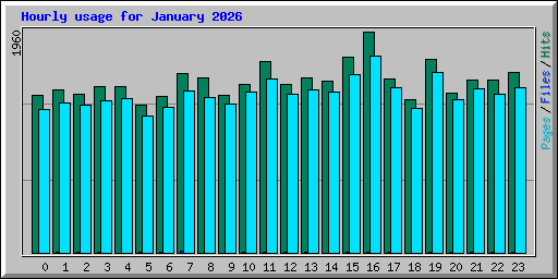 Hourly usage for January 2026